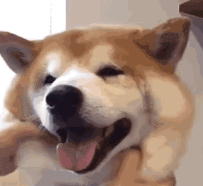 48bbdf9a82a77f4f36450019870fa63dc312bb21a83f3d7a.gif