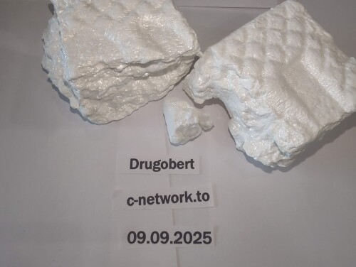 1000000255315cbd2bdec858a0.jpg